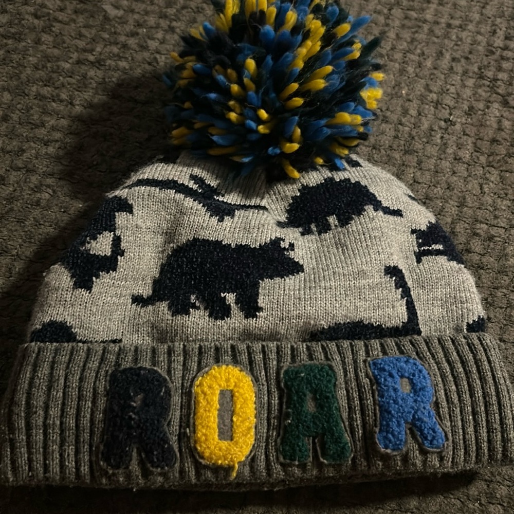 Little Boys winter hat size 4t/5t dinosaur patterned